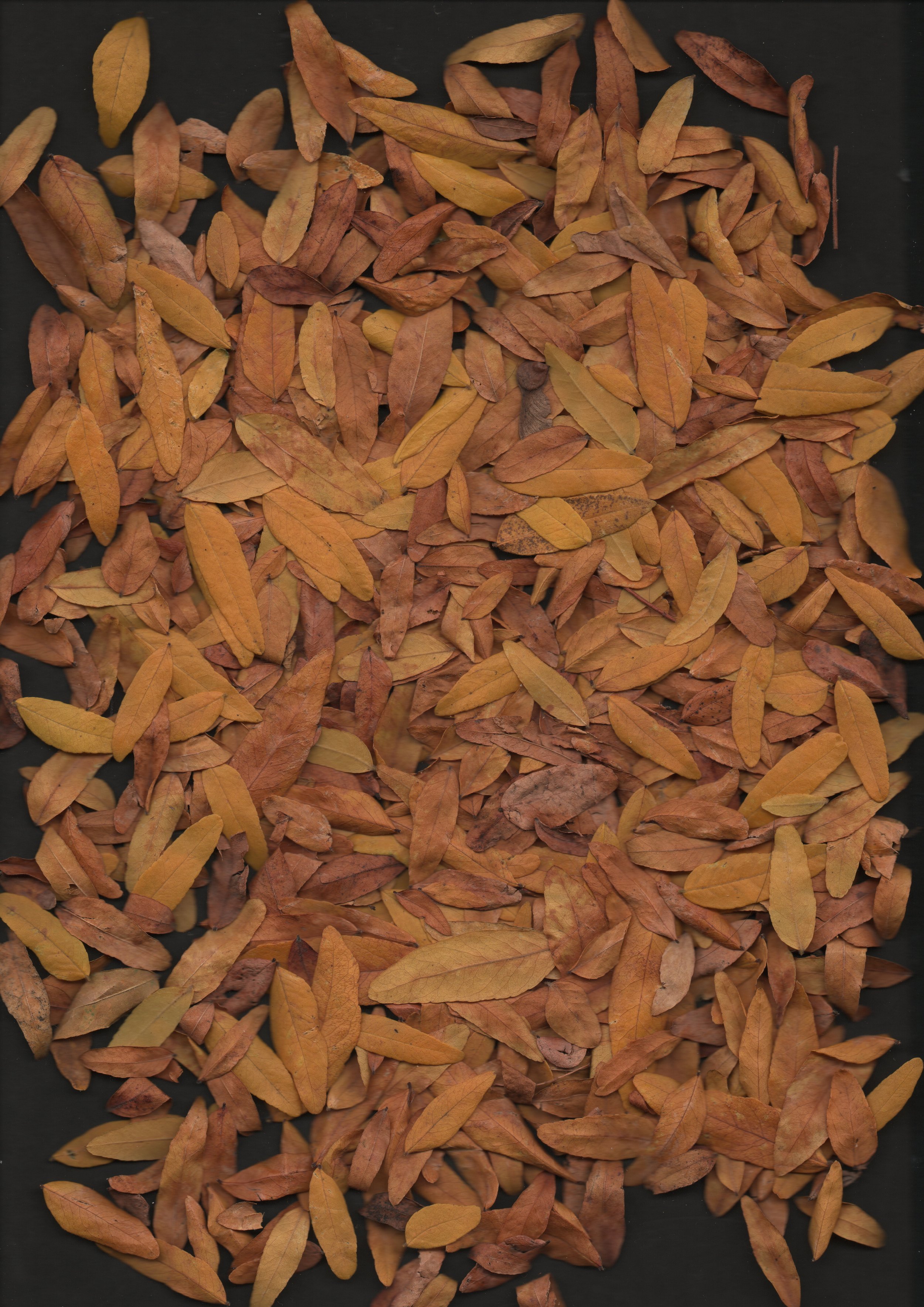 20251018-0004_001 2.JPG