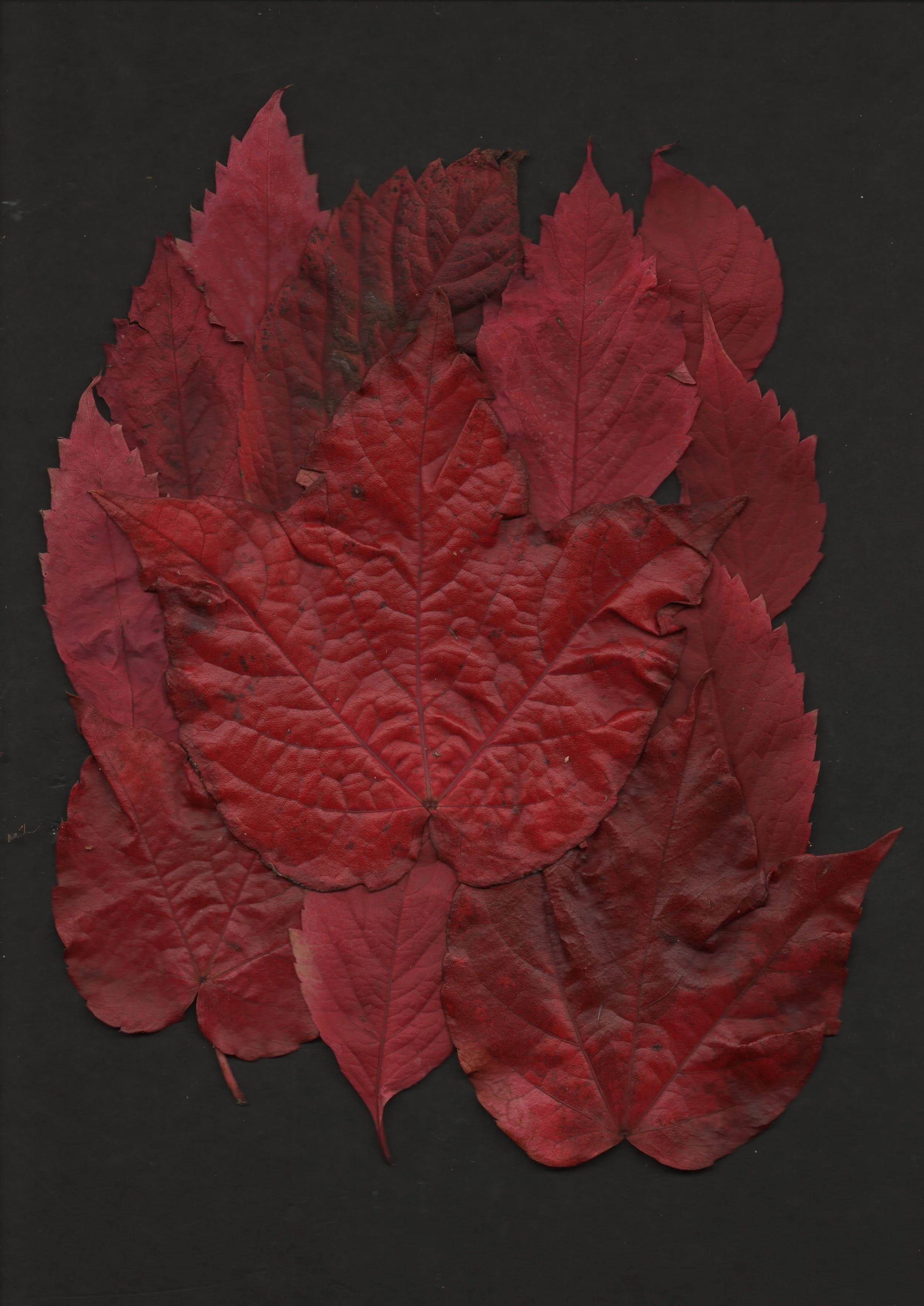 20251018-0018_001 2.JPG