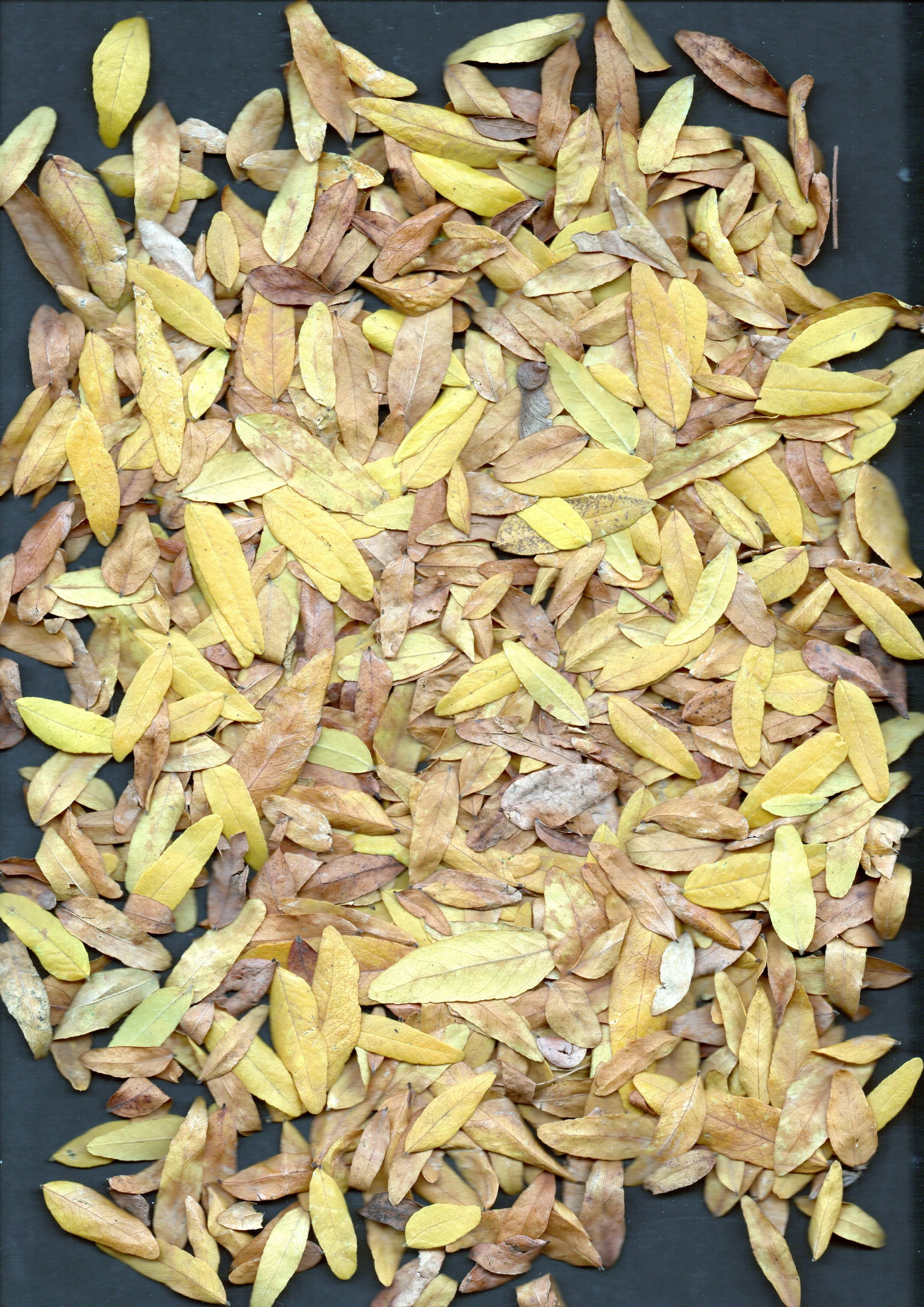 20251018-0002_001 2.JPG