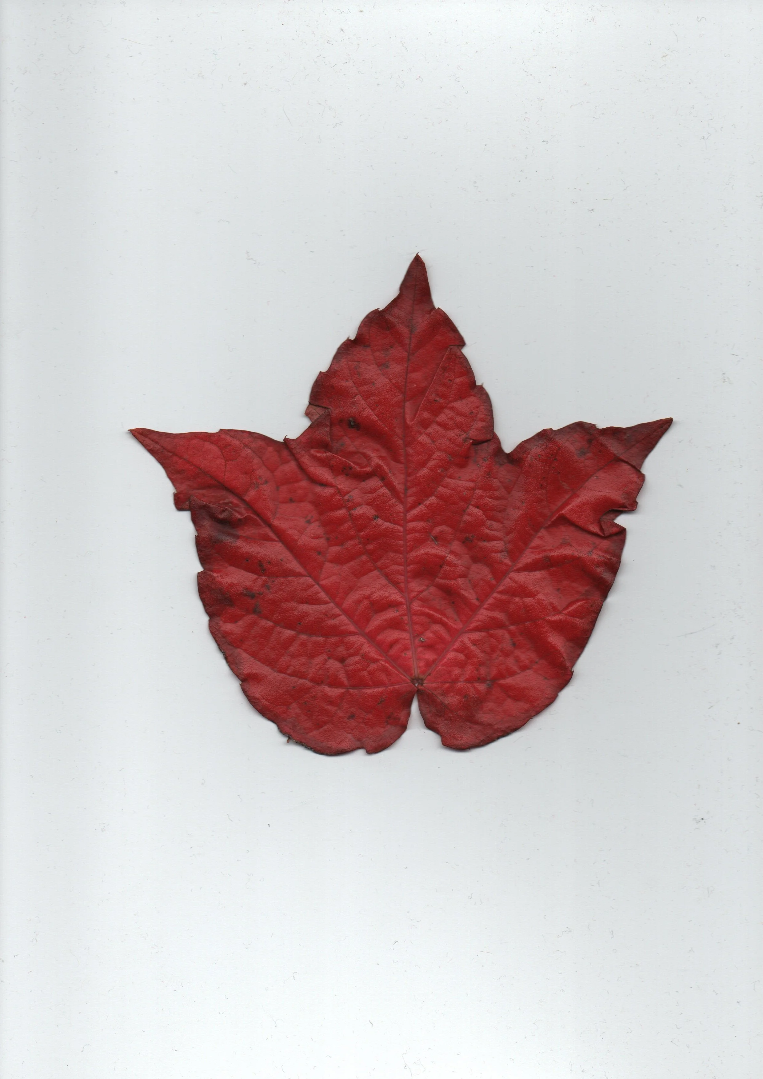 20251017-2347_001 2.JPG