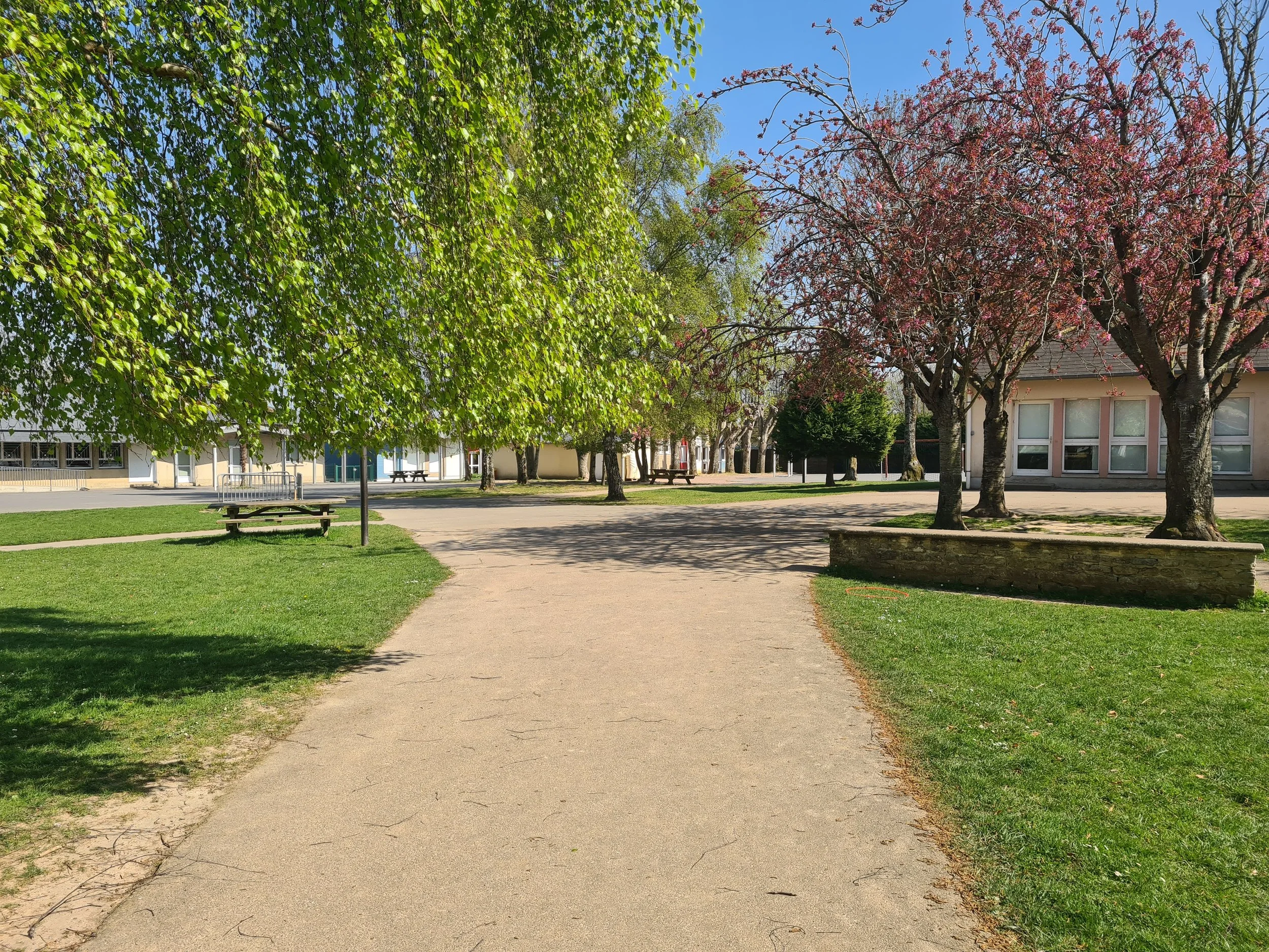 20250409_154214.jpg