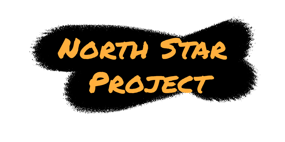 North Star Project — Team Wilderness