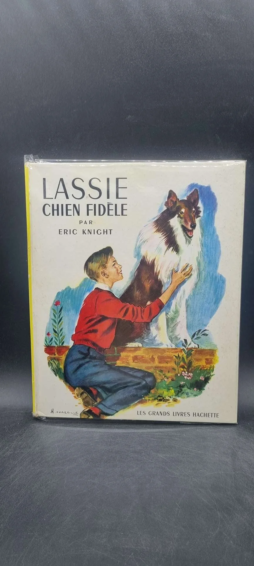 lassie chien fidèle.jpg