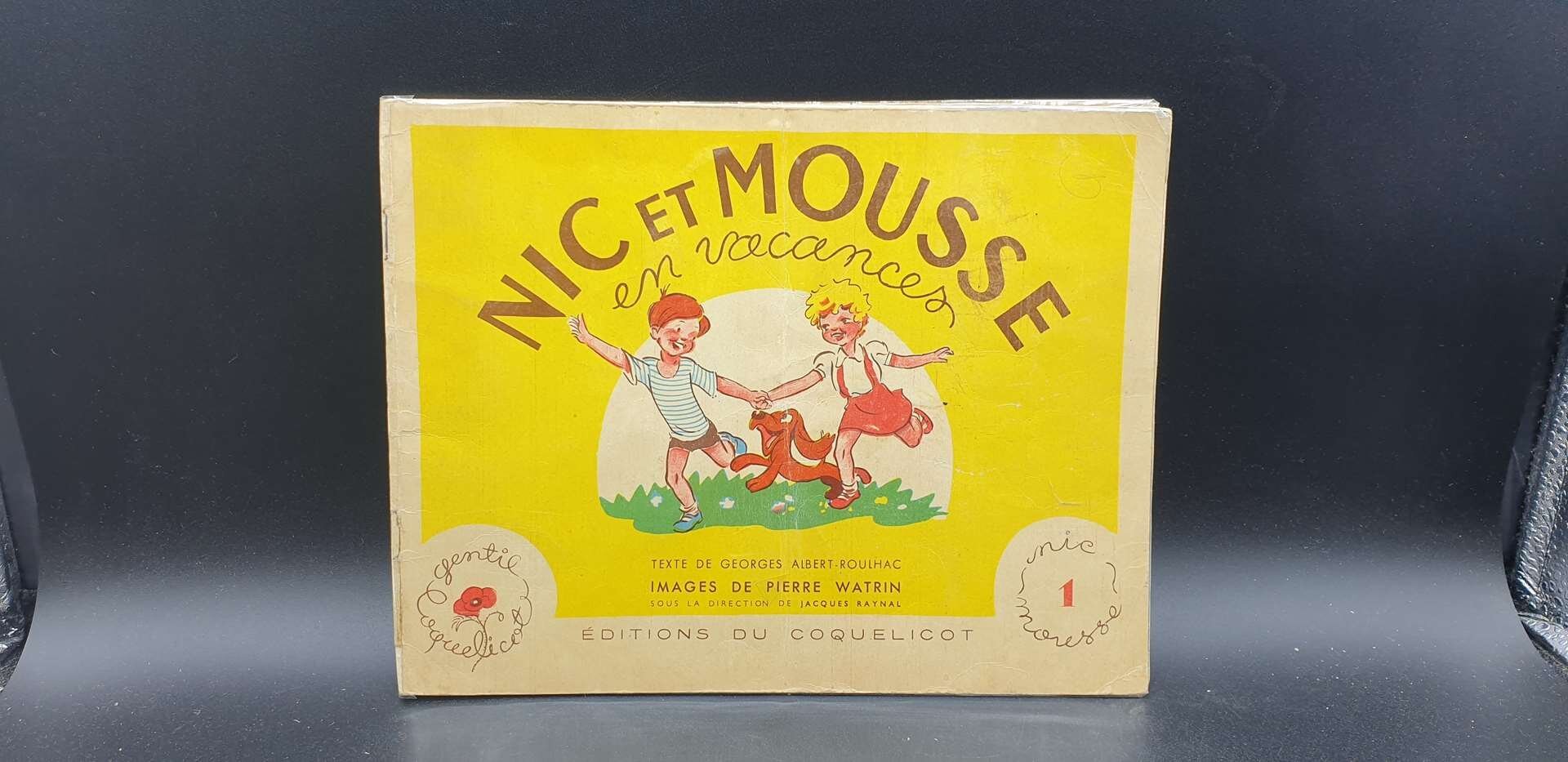 Nic et Mousse en vacances n°1
