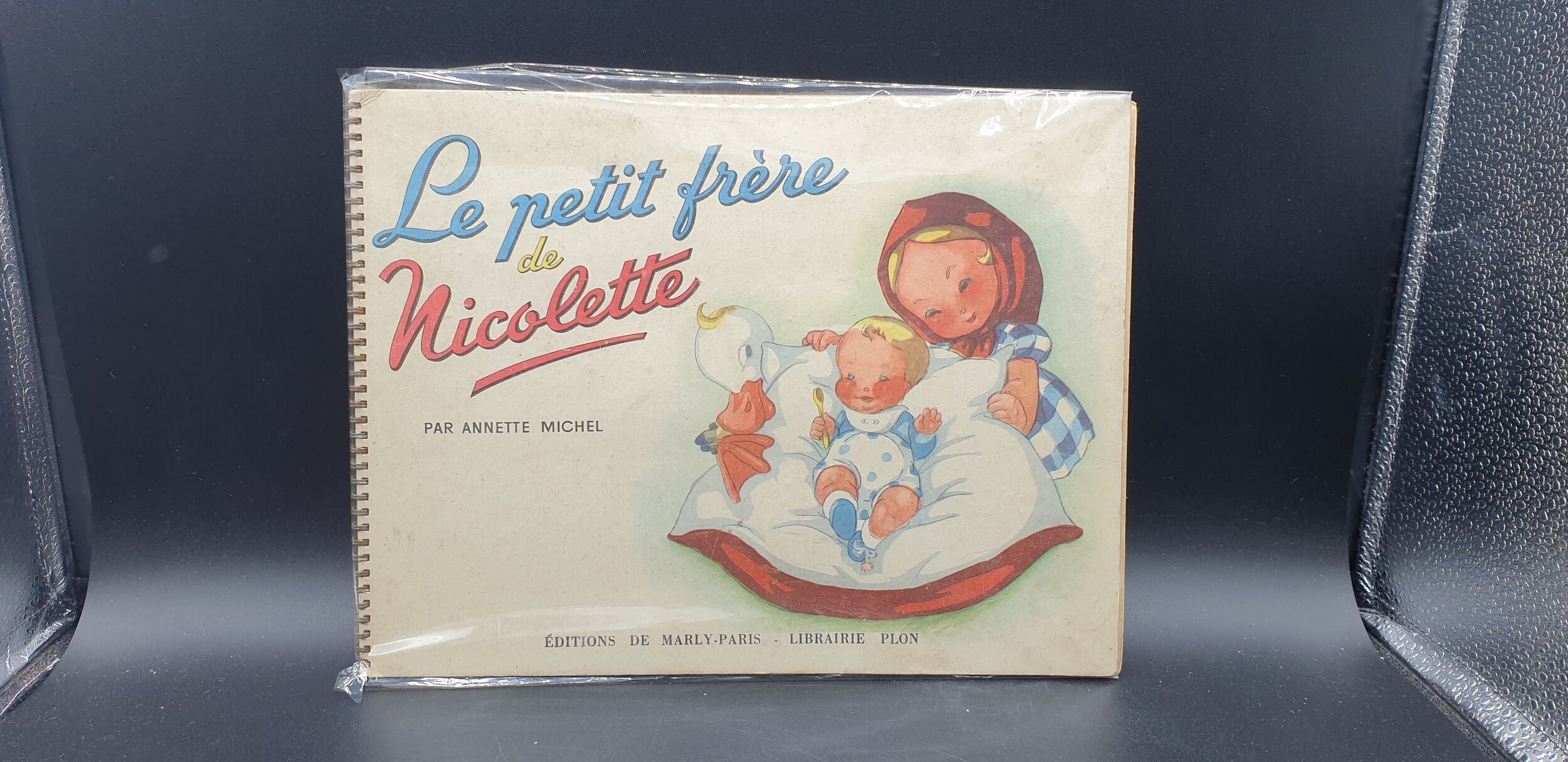 Le petit Frère de Nicolette de Michel