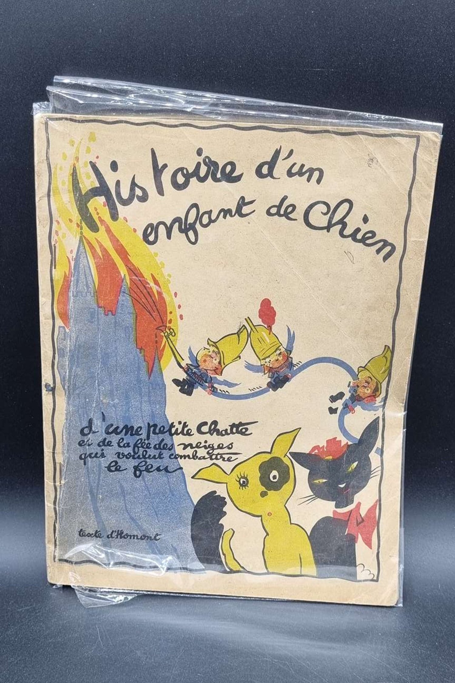 Livre Histoire d'un enfant de chien
