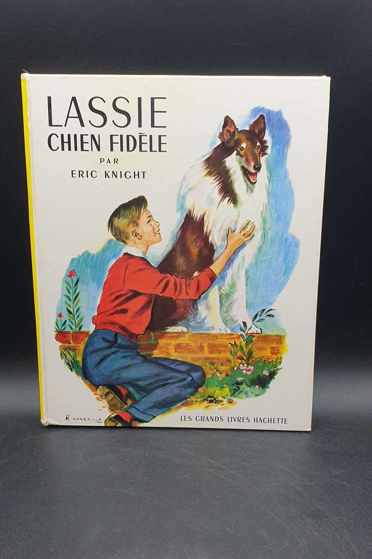 Livre Lassie Chien Fidèle de Knight