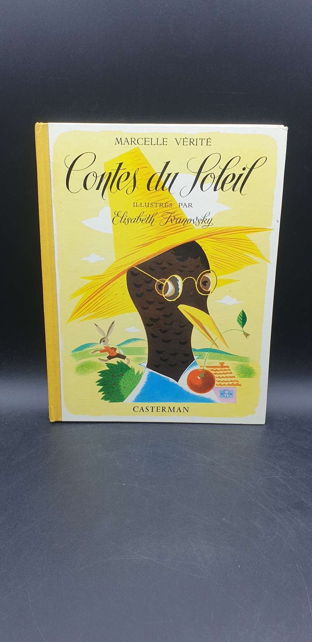 Livre Contes du soleil de Ivanovsky