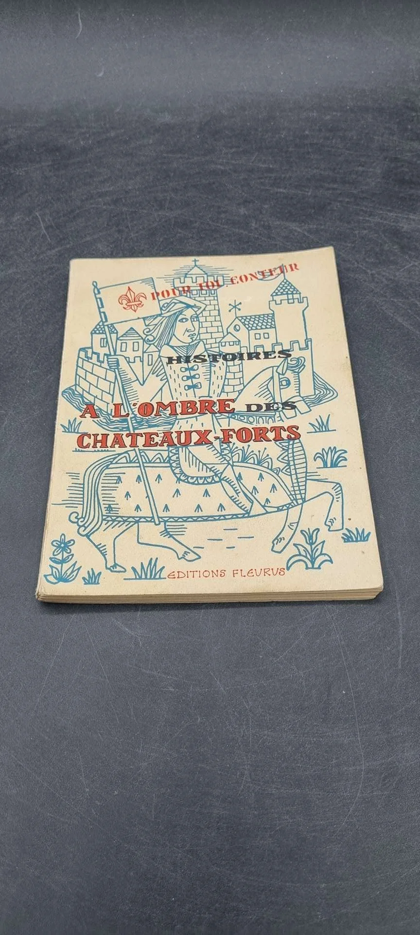 livre histoires  à l'ombre des chateaux-forts.jpg