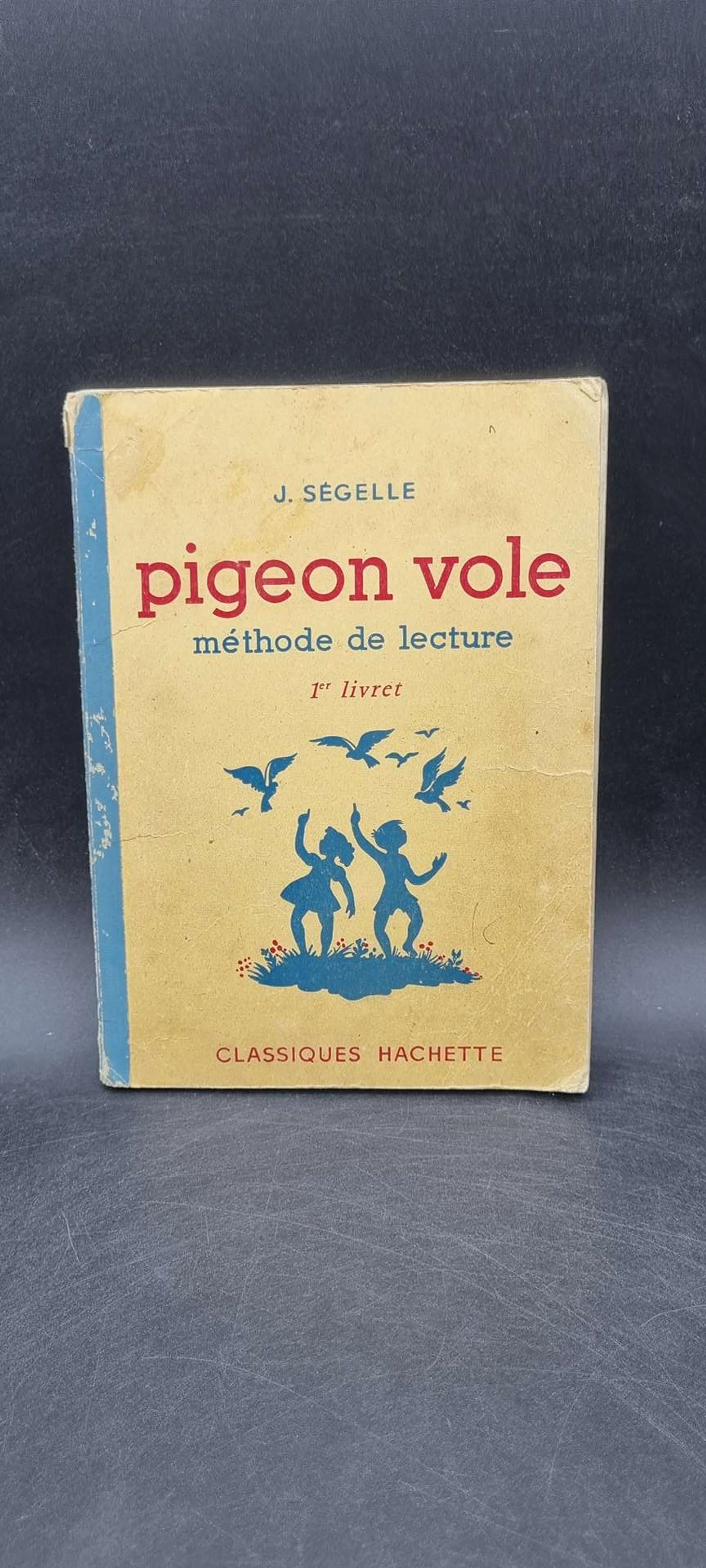 pigeon vole lecture.jpg