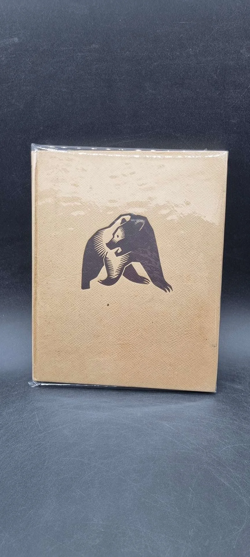 livre Klomma le chasseur d'ours.jpg