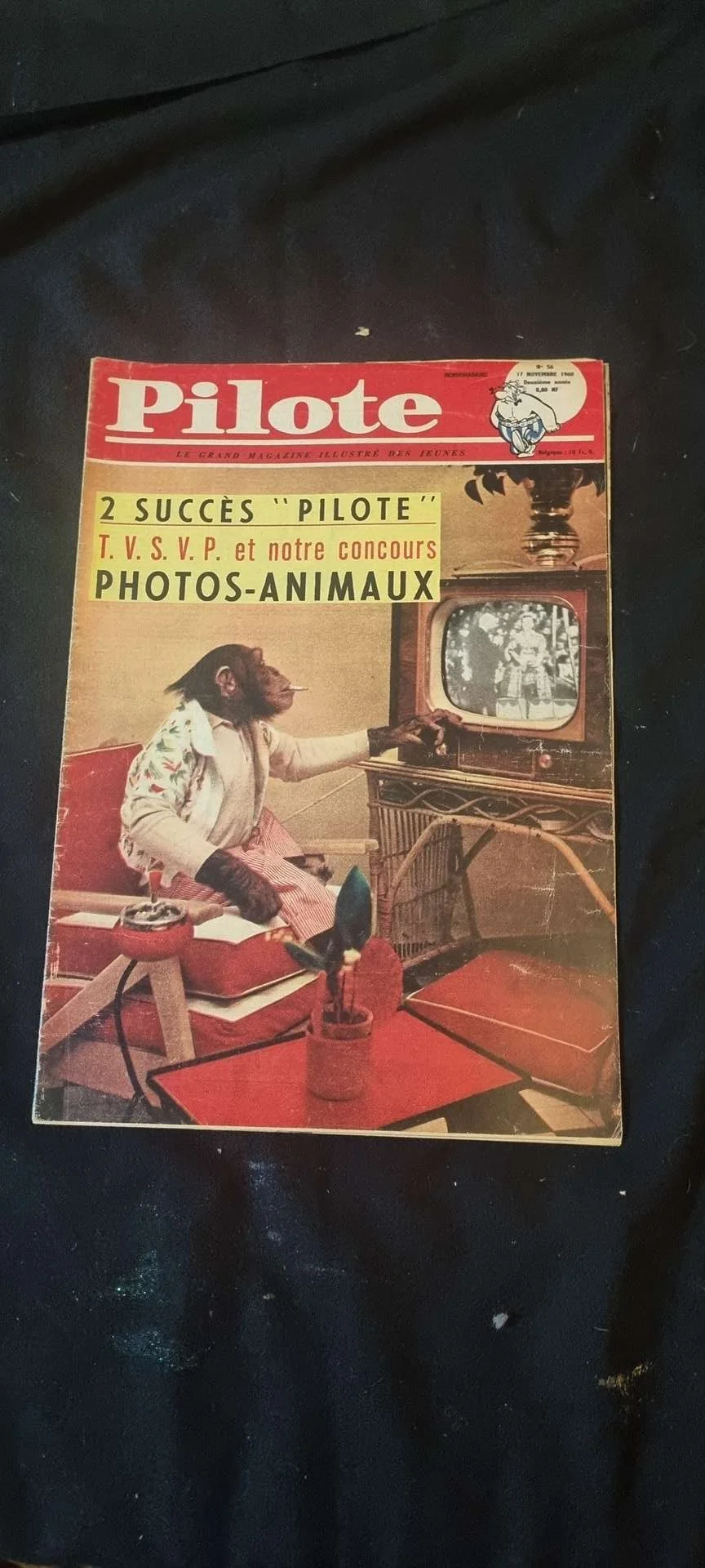20250731_085757.jpg