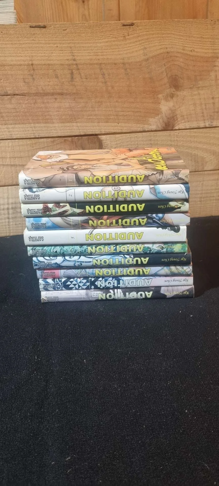 Intégrale "Audition" - 10 Tomes Manga
