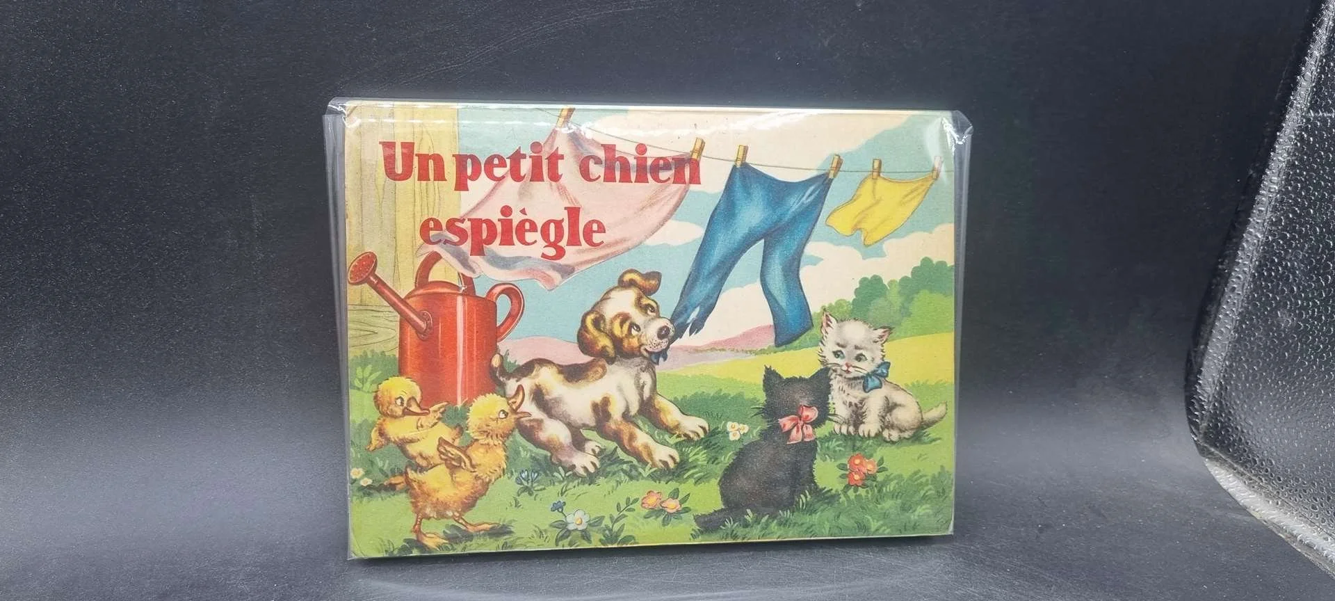 livre pop up un petit chien espiègle.jpg