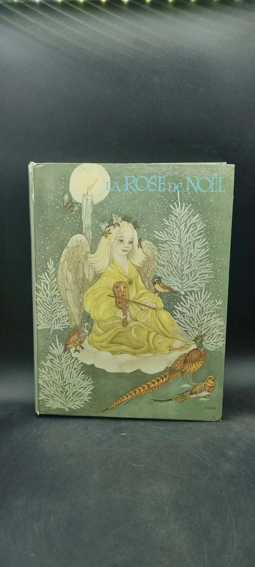 la rose de noël adrienne ségur.jpg