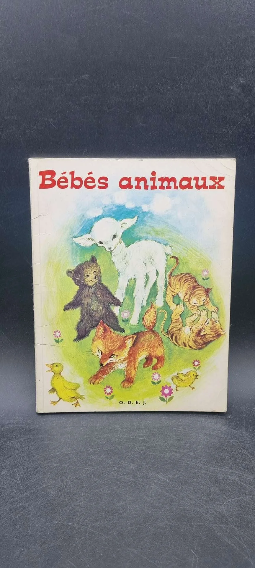 bébés.jpg