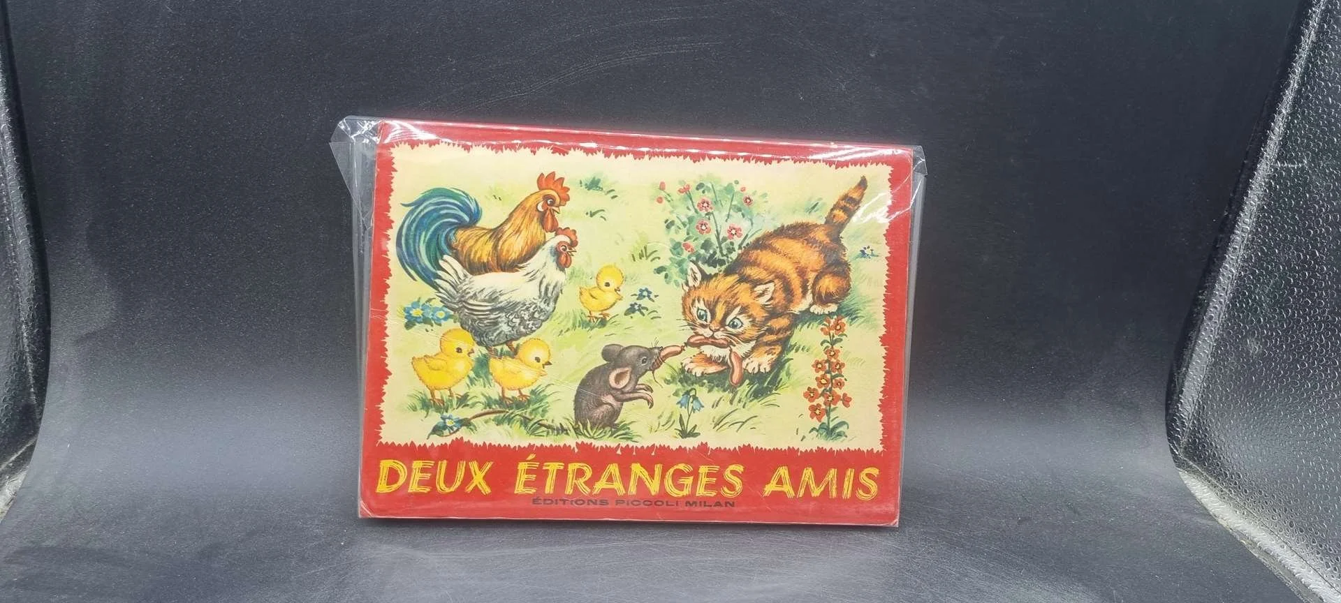 Deux étranges amis piccoli.jpg