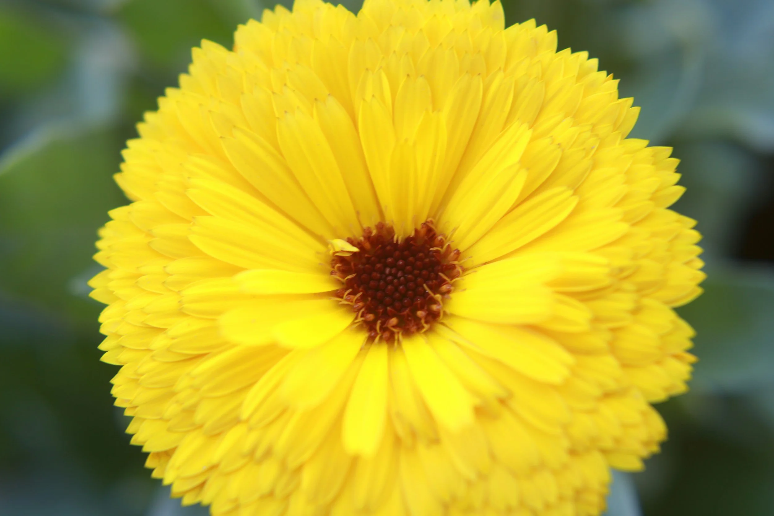 AWAKEN: A Spring Reset from the Inside Out