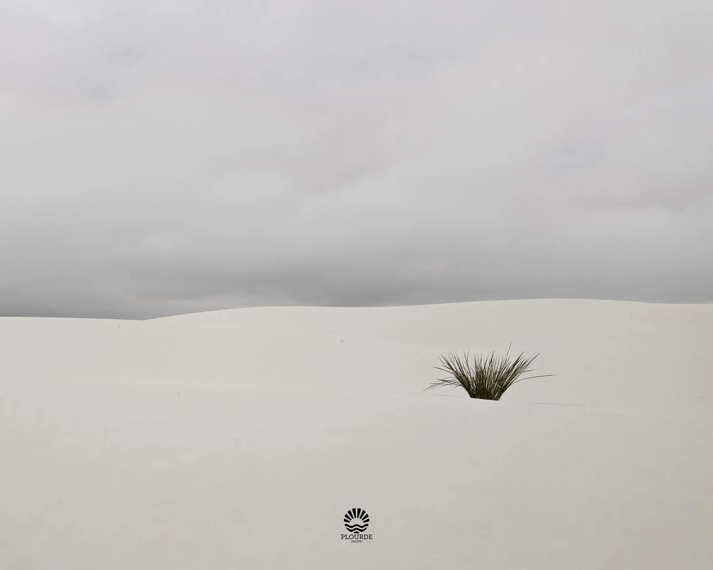 Two Feet Up, Twenty Below
🎞️ @canonusa R8, 28mm
.
.
.
#landscapephotography #newmexico #desert #yucca #landscape