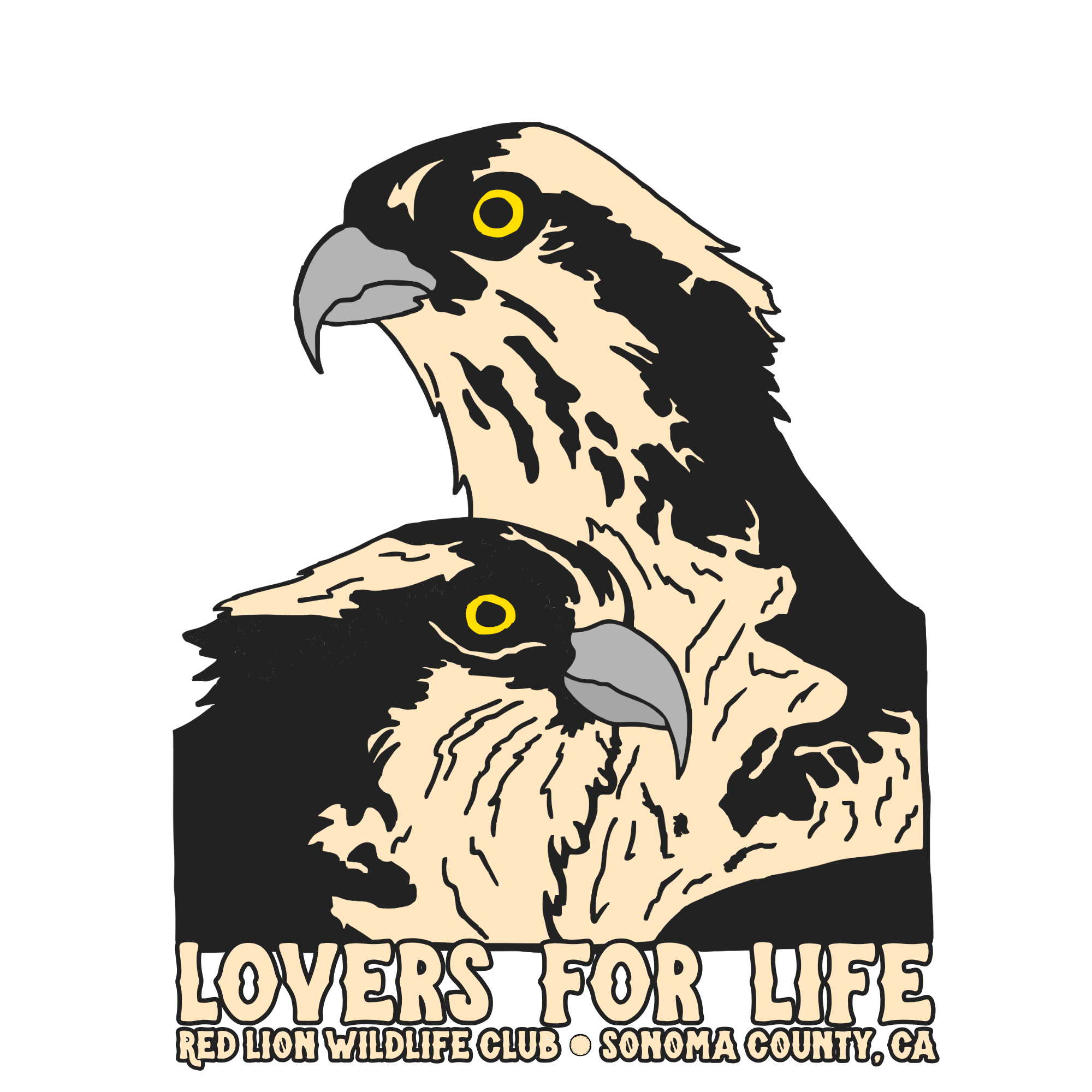osprey (1).png