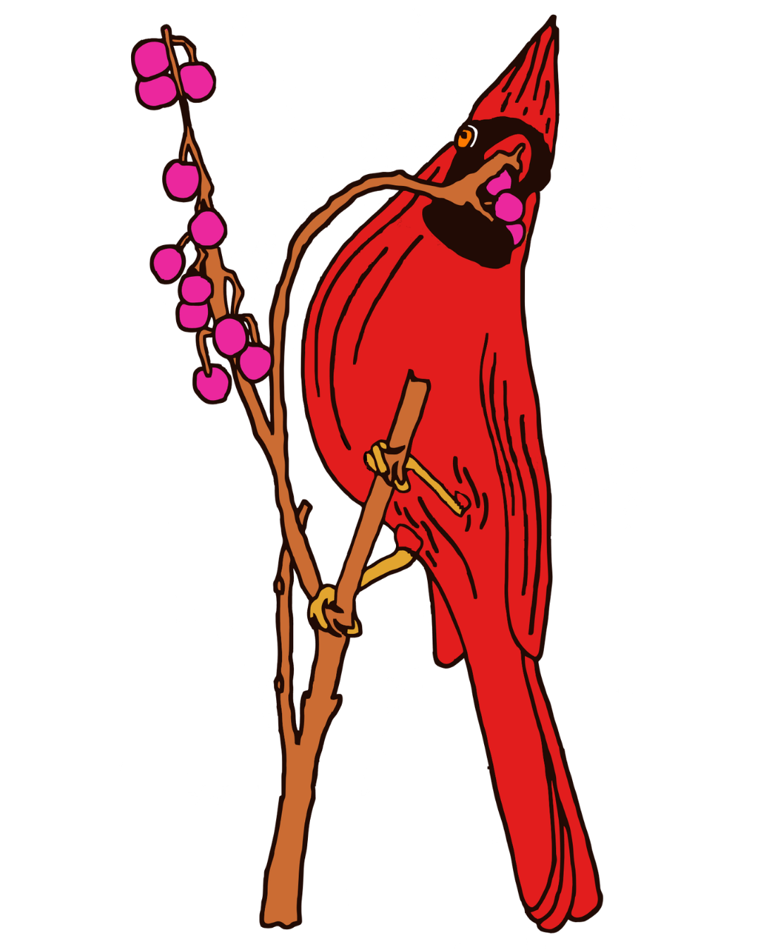 cardinal.png