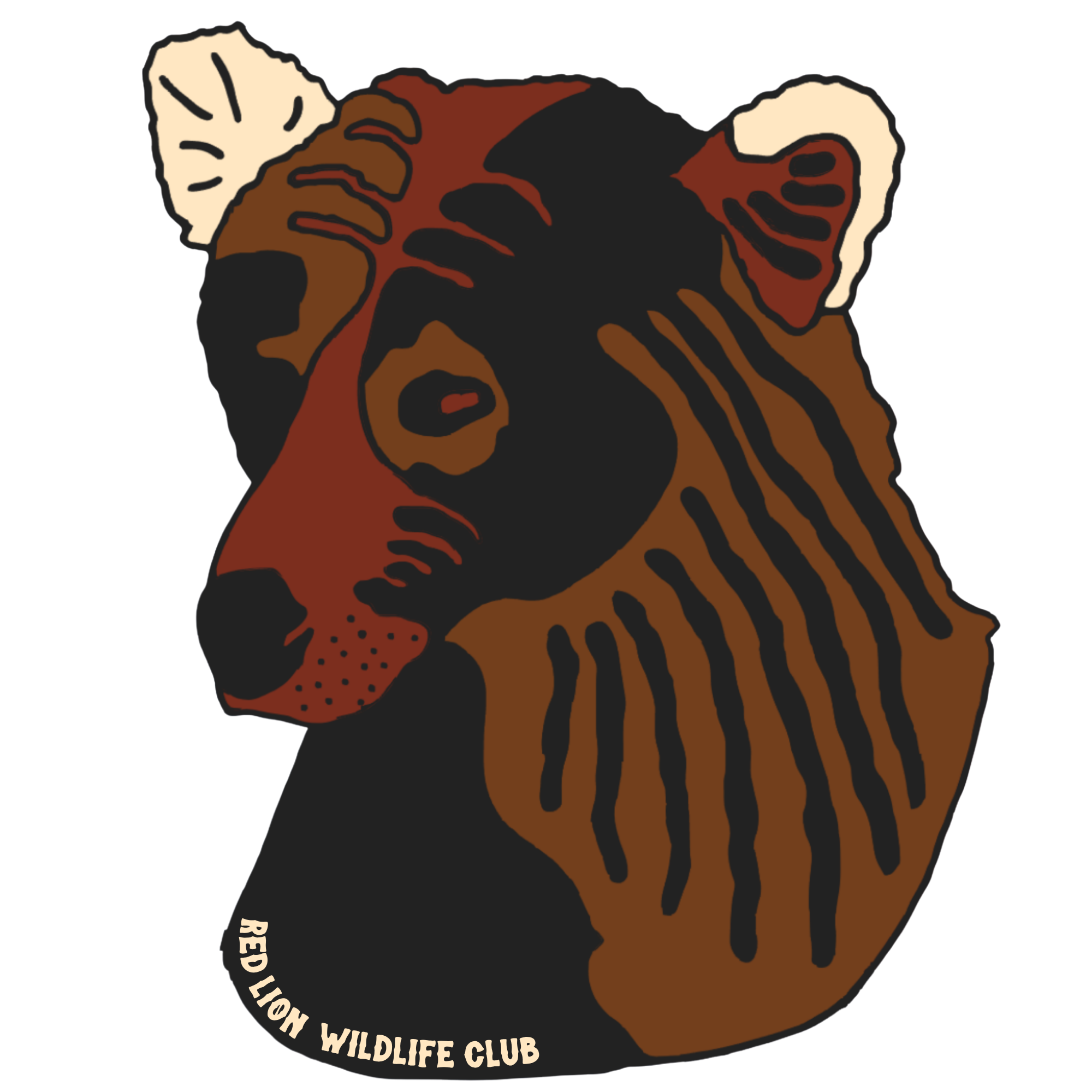 HAYDUKE & MORE (21).png