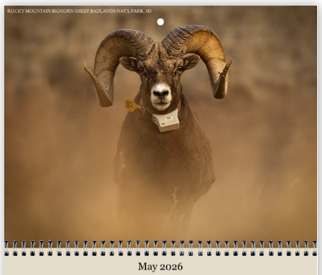 Screenshot 2025-12-09 213939.png