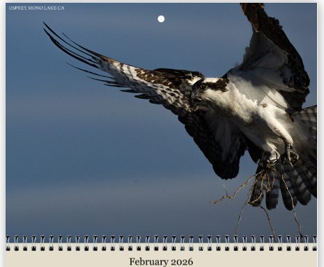 Screenshot 2025-12-09 213924.png