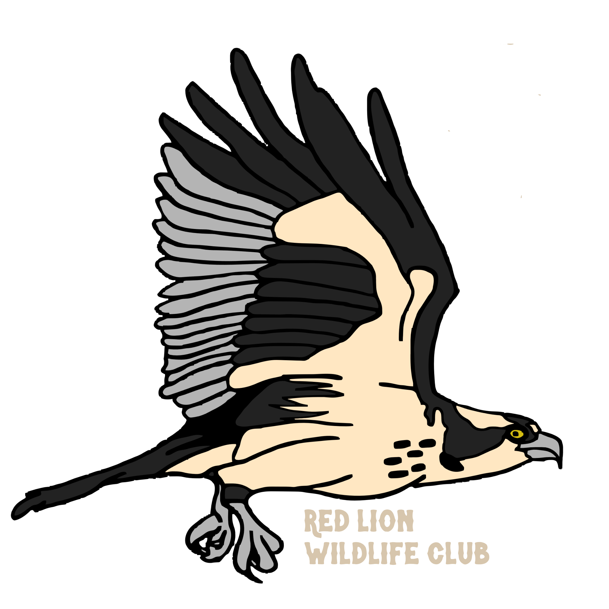 osprey.png