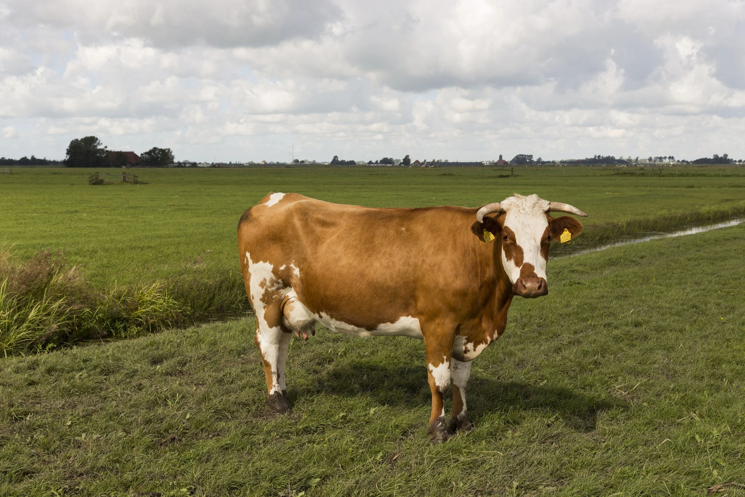 240_©HvdM_Peenstra_28-08-2015_4391_HR.jpg