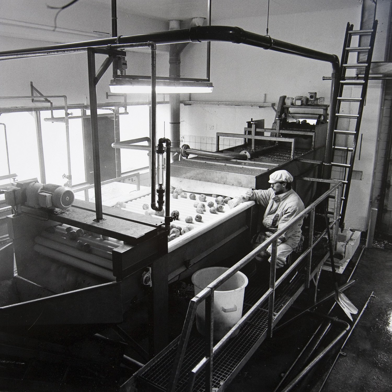 HvdM_WERKp26_CanningFactory.jpg