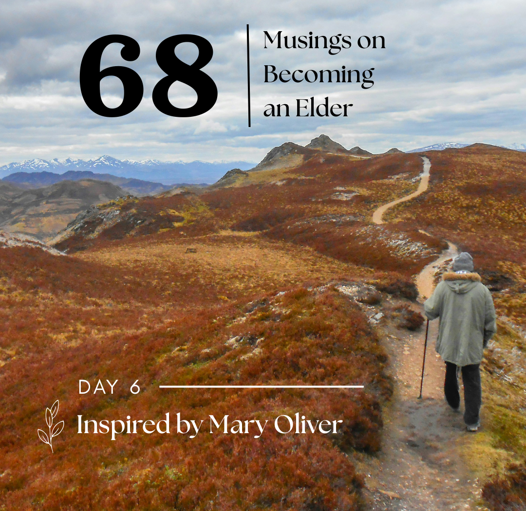 Day 6: Learning from Mary Oliver