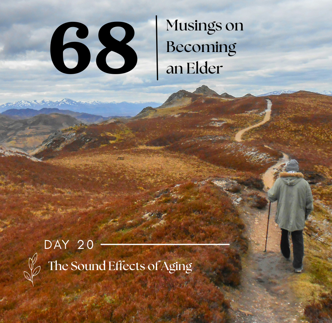 Day 20: The Sound Effects of Aging
