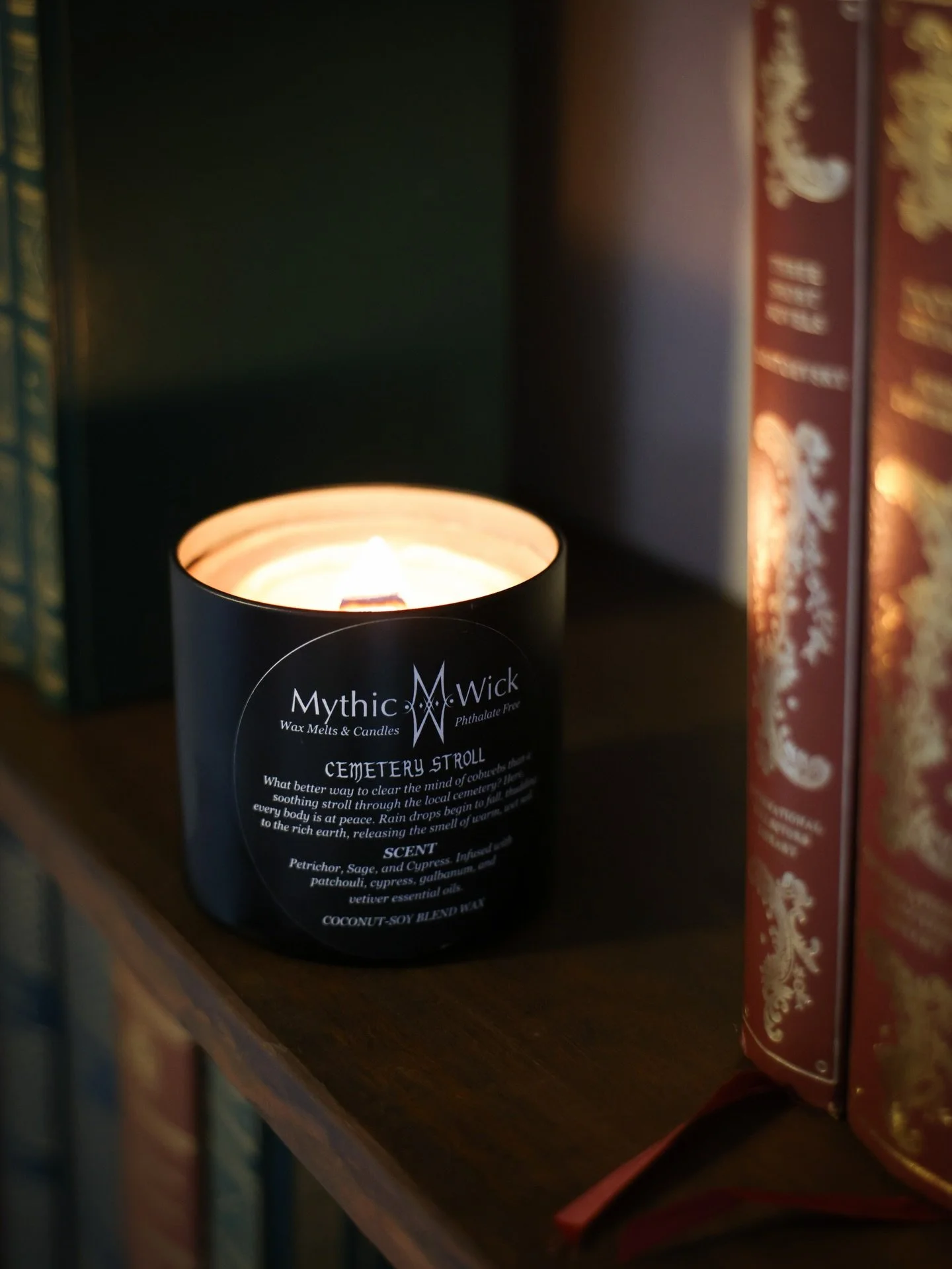 Your Spooky TBR + Candle Pairing Guide 🕯️📚

🪦Cemetery Stroll + Weavingshaw by Heba Al-Wasity
📕A young woman who can see the dead strikes a deal with a magnetic and dangerous purveyor of dark secrets to save her brother&rsquo;s life.

🕯️Library o