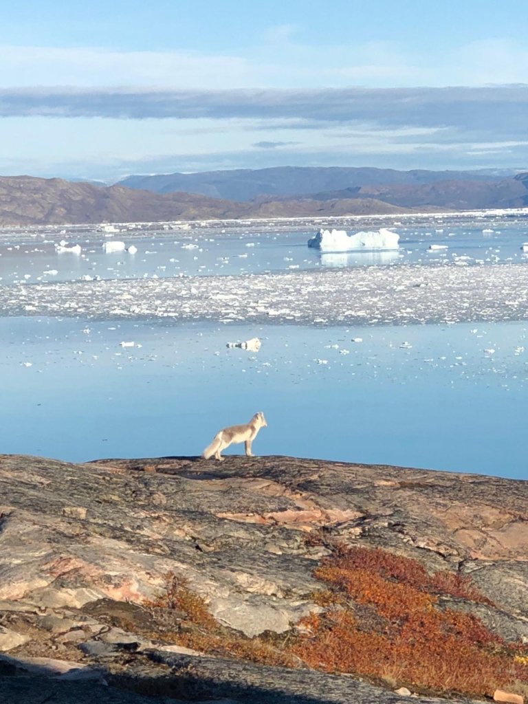 Greenland-4-768x1024.jpg