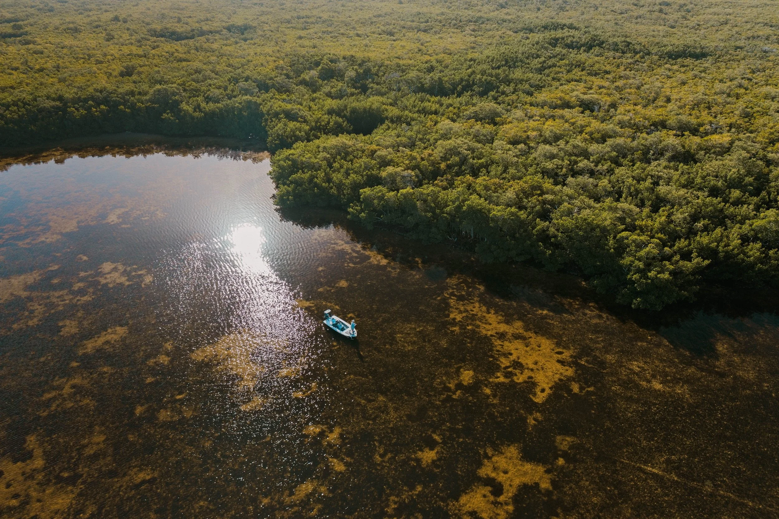 guidelines drone-1.jpg