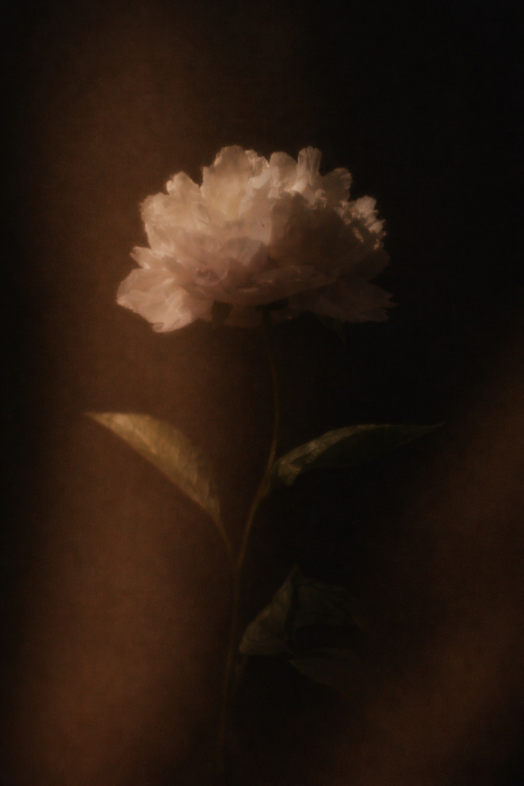 LIFE IS ALWAYS INVITING YOU TO BLOSSOM