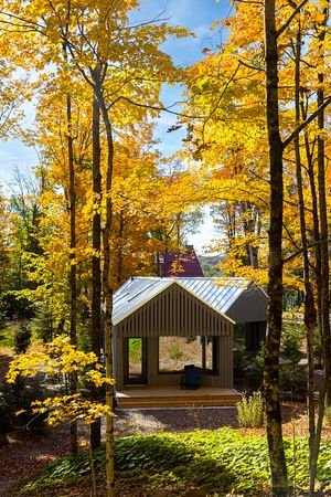 Dimensions_Fall_Photos-40_large.jpg