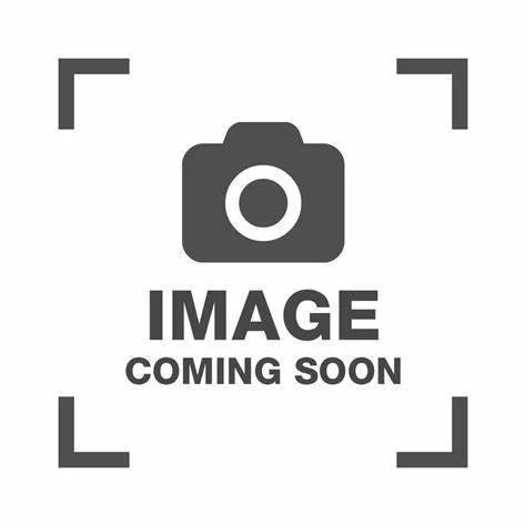 Portrait of Dr Nirmal Valand