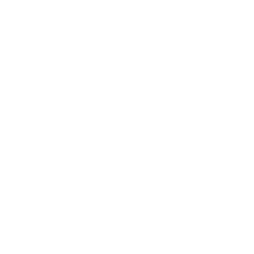 Absolute Paint Co.