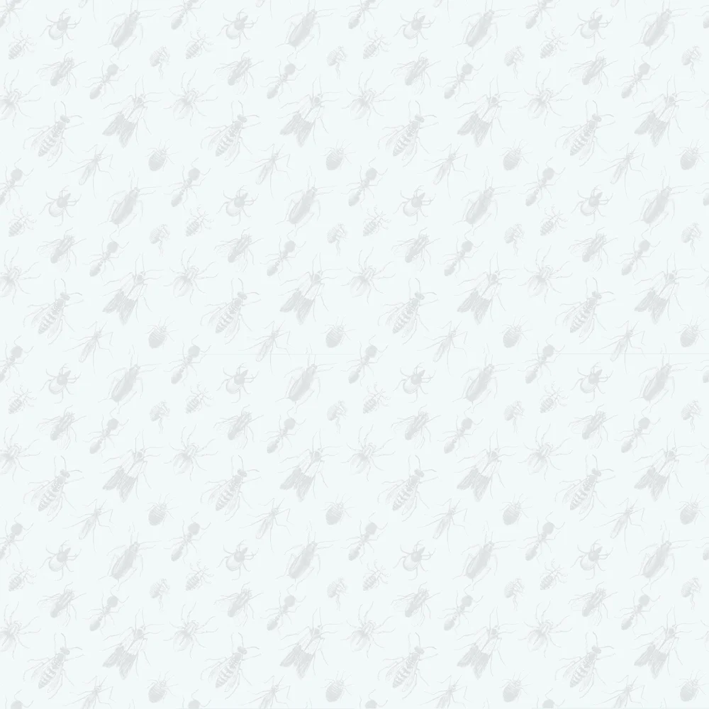 Pool & Spa - Well & Septic - Drone - Irrigation - Repair Pricing