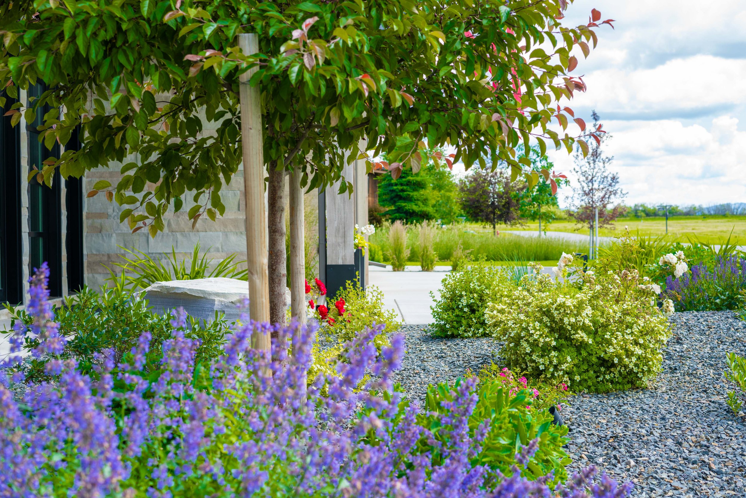 Klapstein July 1 2024-53.jpg