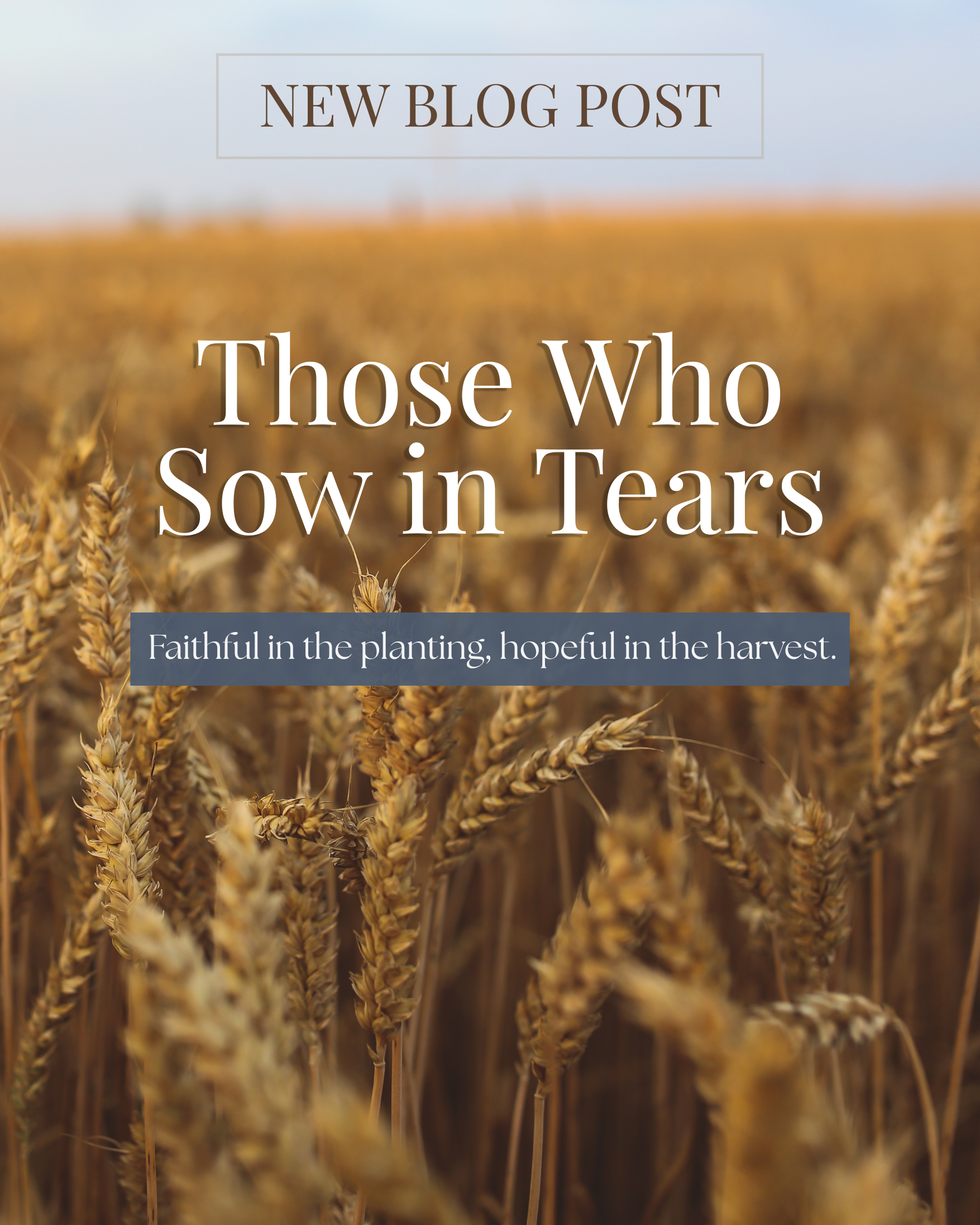 Those Who Sow in Tears