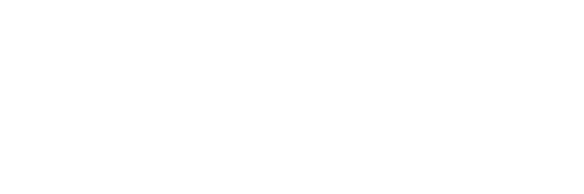 Team Butler Brazilian Jiu-Jitsu logo