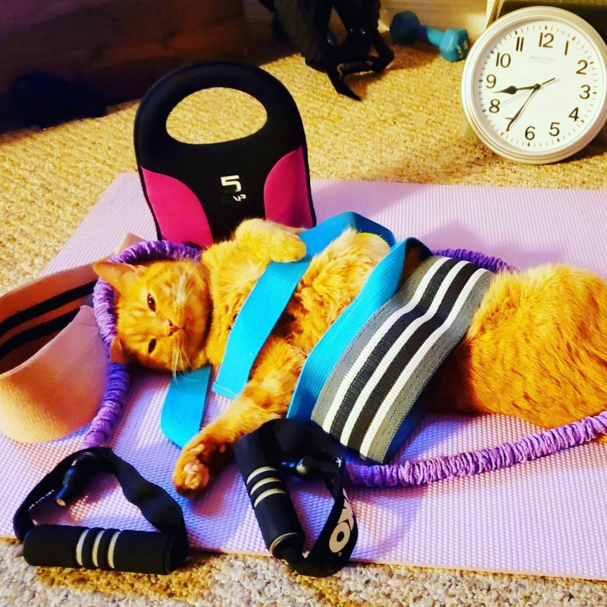 Why Am I Not Losing Weight? 
