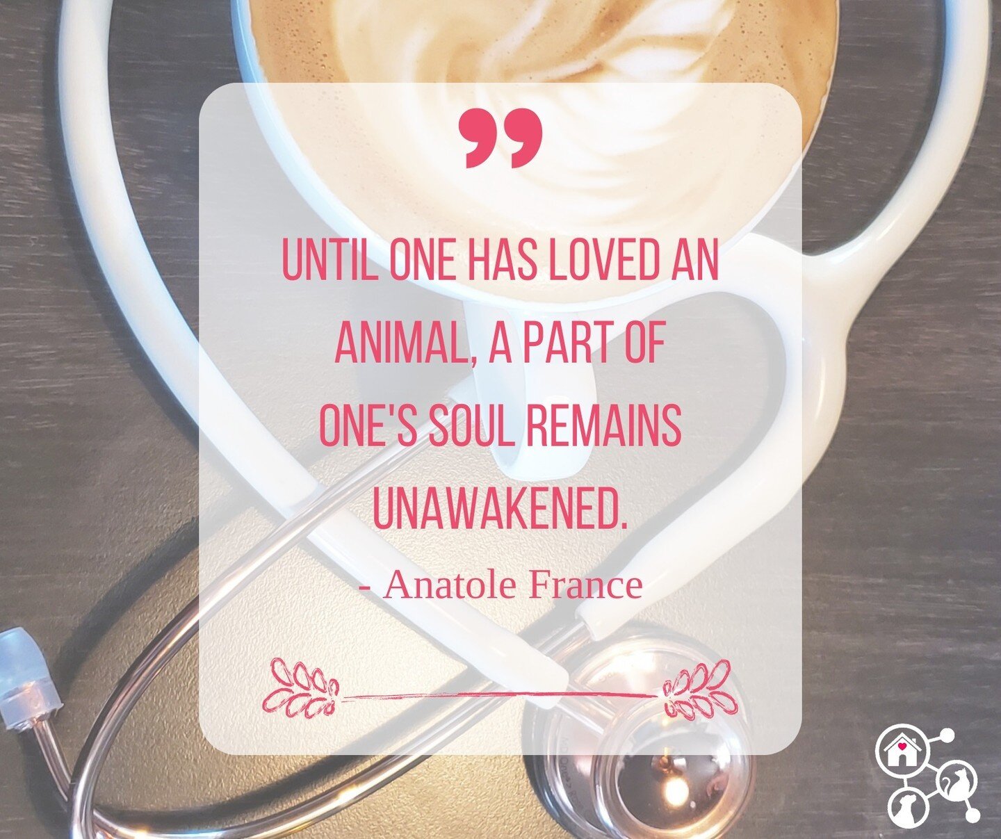 Isn't it true that loving an animal opens up a whole new part of your soul? 🐾❤️ Anatole France captured it perfectly: 'Until one has loved an animal, a part of one's soul remains unawakened.' Share the moment when your pet became the heart and soul 