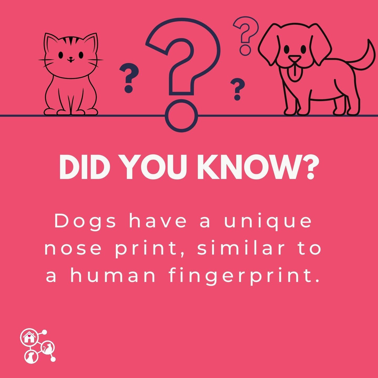 🐾 Hey dog lovers, did you know our furry friends have a nose-tastic superpower? 🐶✨ Each pup has a nose print as unique as a human fingerprint! 🐾👃

Next time you're snuggling with your canine companion, take a moment to appreciate that adorable sn
