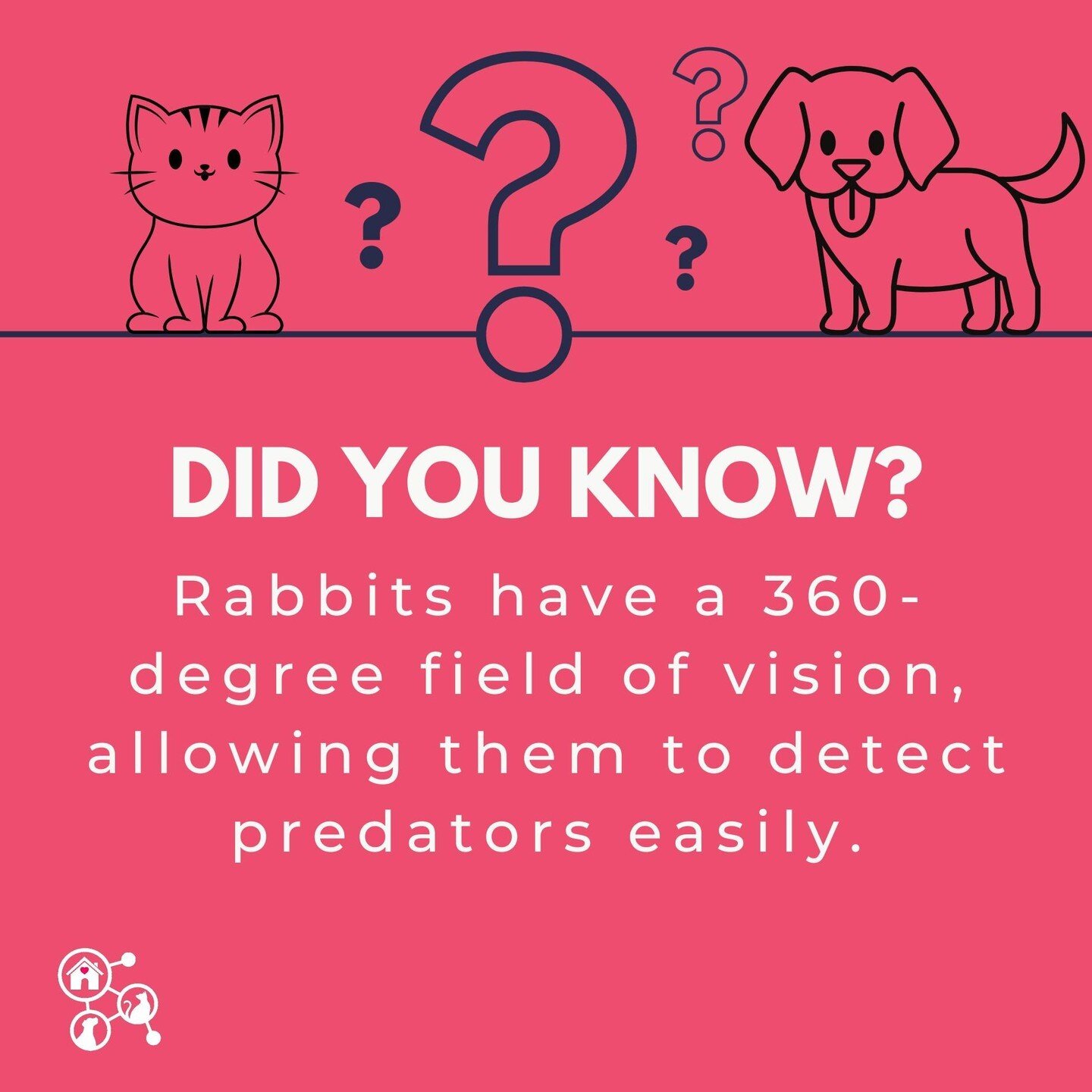 🐰 Hop into this fun fact, bunny enthusiasts! Did you know that our adorable floppy-eared friends are basically vision superheroes? 🦸&zwj;♂️👀

Rabbits boast a 360-degree field of vision, giving them the ultimate predator-detection skills. They've g