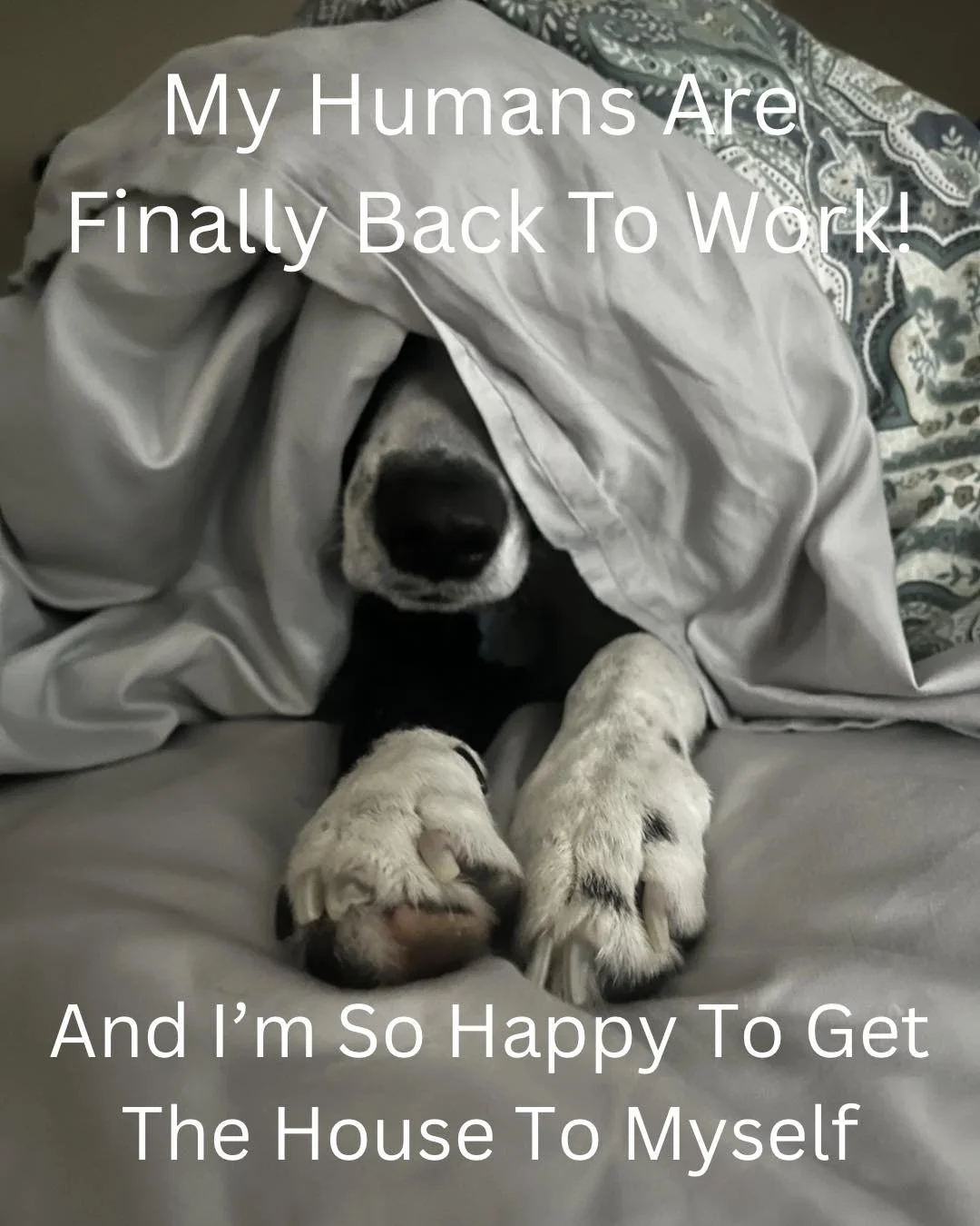 Yes! We are back! ✔️

Shop open Wed - Fri 10-4. ⏰

And don&rsquo;t be bashful we will gladly meet you outside of business hours. 👌🏽
.
.
.
📍113 N. Main Street, Fairport, NY
💻www.fairportfirehousewoodworks.com
🔨handmade for you🔨

#ourlittlefireho