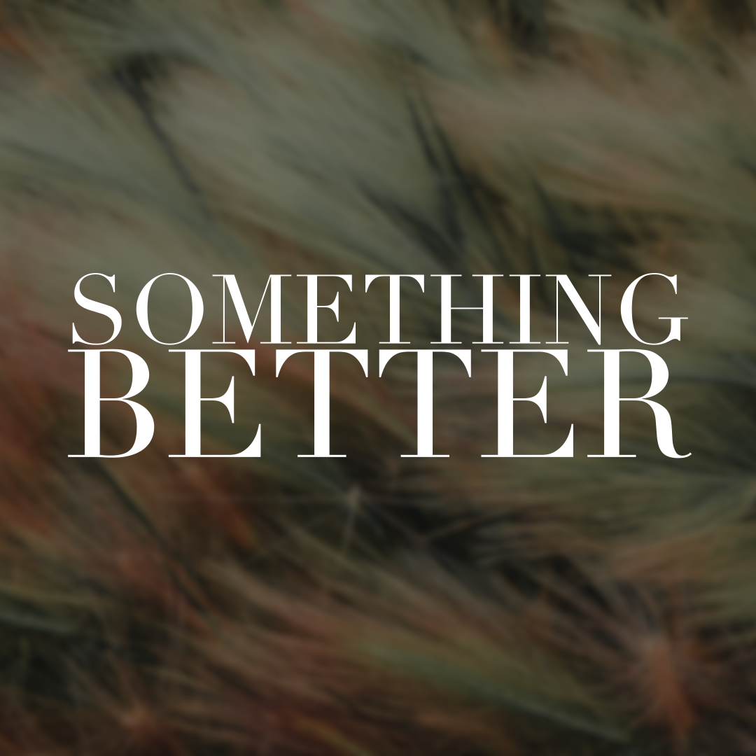 March 21 Sermon: Something Better